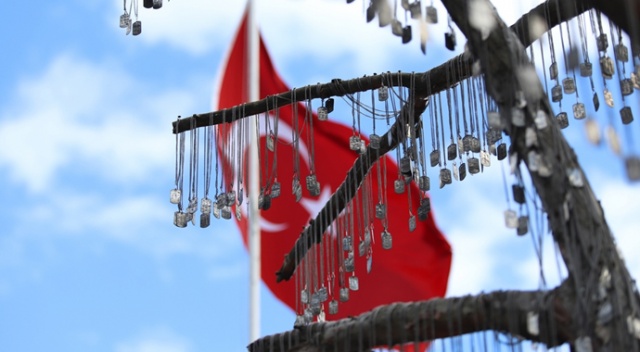 İdlib şehitlerinin künyeleri Şehit Ağacı’na asıldı