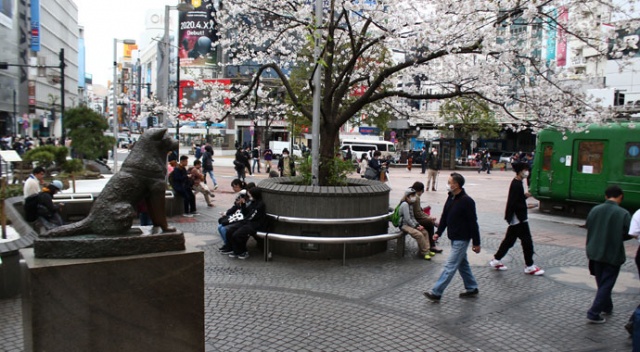 Japonya'nın başkenti Tokyo'da sakin hafta sonu