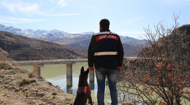 Kayıp Gülistan&#039;ı arama çalışmaları sürüyor