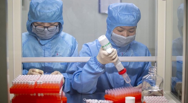 Mısırlılar, Suudi Arabistan'ın kararı üzerine korona testi için laboratuvarlara akın etti Mısırlılar, Suudi Arabistan'ın kararı üzerine korona testi için laboratuvarlara akın etti