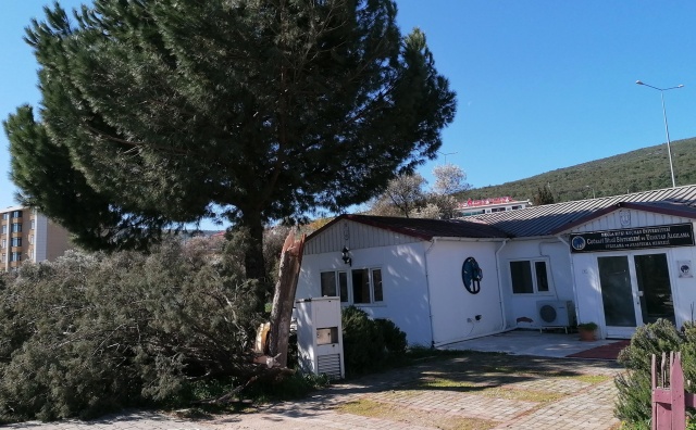 Muğla’da fırtına etkili oluyor