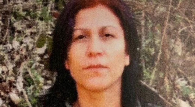 PKK'nın sözde üst düzey sorumlularından Halide Tarı etkisiz hale getirildi PKK'nın sözde üst düzey sorumlularından Halide Tarı etkisiz hale getirildi