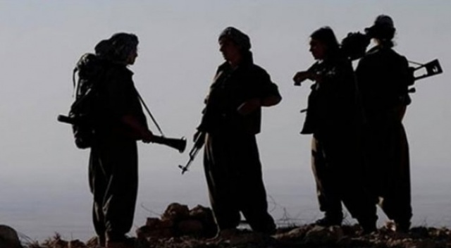 Terör örgütünde ikna yoluyla teslim olmalar devam ediyor Terör örgütünde ikna yoluyla teslim olmalar devam ediyor