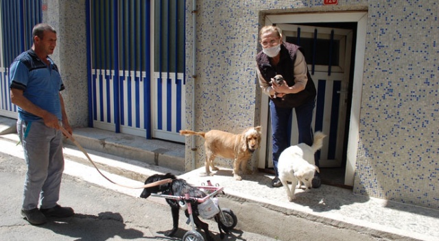 ‘Sinirden ellerim titriyor’ diyerek köpeğini ezen sürücüye tepki gösterdi