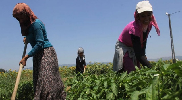 400 bin mevsimlik işçi yollara düşüyor