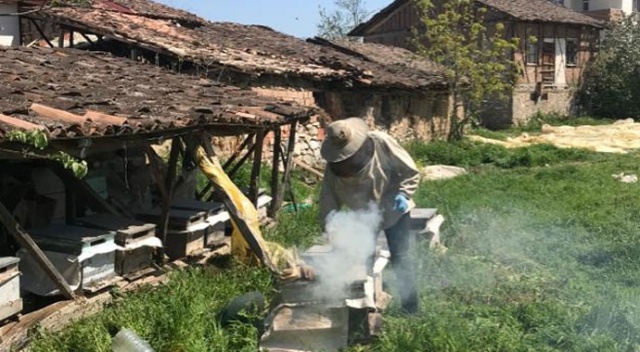 Arı kovanlarına devlet bakıyor
