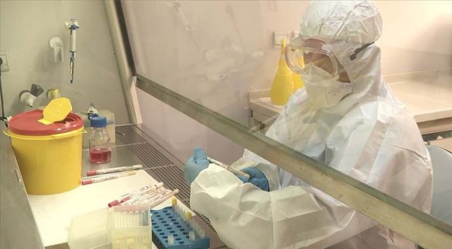 Avrupa'da Covid-19'a karşı yeşil yatırım çağrısı Avrupa'da Covid-19'a karşı yeşil yatırım çağrısı