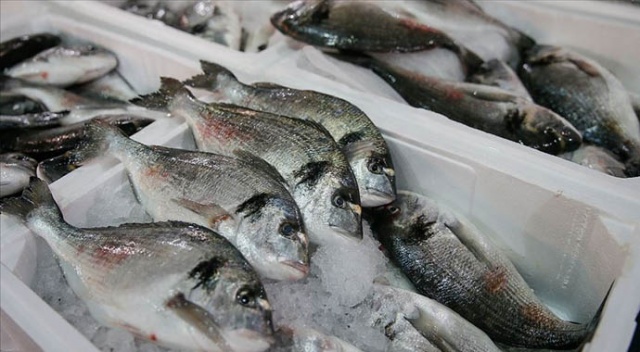 Balık tüketim kampanyasıyla zincir marketlerde çipura ve levrek maliyetine satılacak
