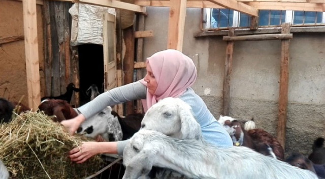 Borç para ile başladı, üretimi bir yılda dörde katladı