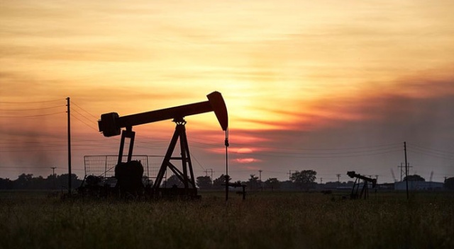 Brent petrolün varili 22,22 dolar