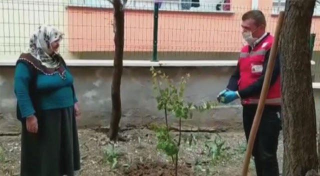 Evinden çıkamayan yaşlı kadın sosyal destek grubundan fidan istedi