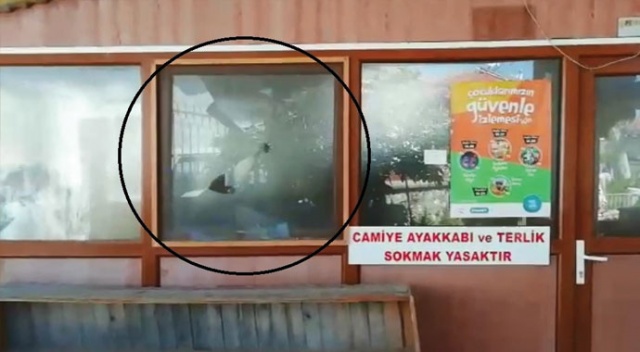 İzmir'de camiye çirkin saldırı İzmir'de camiye çirkin saldırı