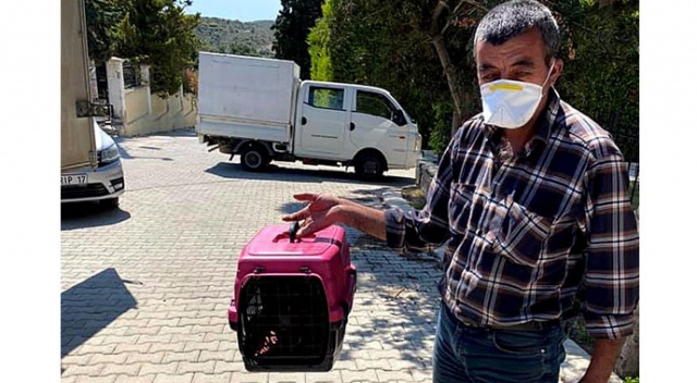 İzmir'de vicdansızlık! Çöpe atılan kedi yavruları kurtarıldı