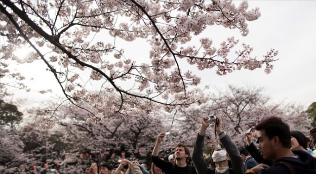 Japon turizmine korona virüsü darbesi
