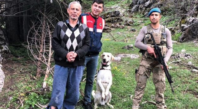 Kaybolan şizofreni hastasını iz arama köpeği yastığından buldu