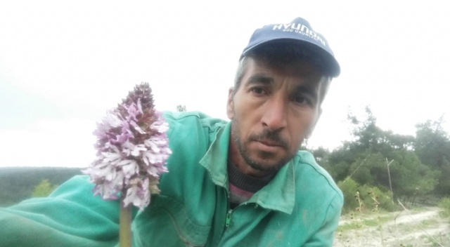 Koparmanın cezası 72 bin lira olan bitkiyle selfie