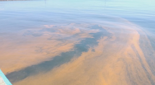 Marmara Denizinde turuncu renk istilası