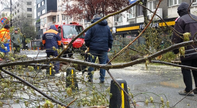 Mecidiyeköy’de fırtınanın etkisiyle devrilen ağaç yolu trafiğe kapattı