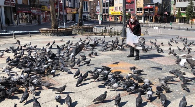 Meydanları mesken tutan güvercinleri polisler besledi