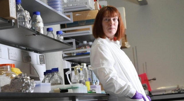 Oxford Üniversitesi Profesörü: Koronavirüse tekrar yakalanabilirsiniz ve her yıl aşı olmanız gerekebilir