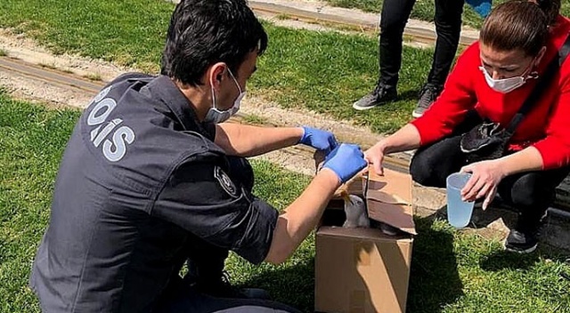 Polis memuru, aç martının imdadına yetişti