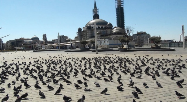Sokağa çıkma yasağında Taksim Meydanı kuşlara kaldı