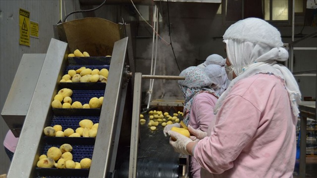 Tüketicinin patates püresine ilgisi arttı Tüketicinin patates püresine ilgisi arttı