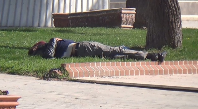 Türkiye eve çekildi, Cezayirli vatandaş parkta uyurken bulundu