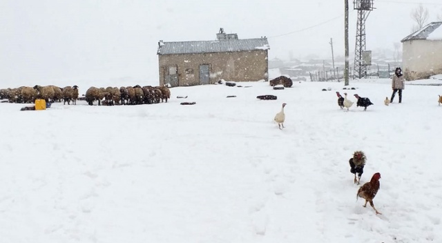 Van'da Nisan ayında kar sürprizi Van'da Nisan ayında kar sürprizi