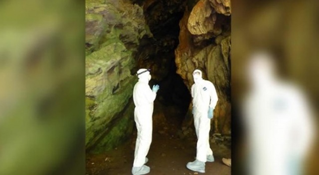 Virüs avcıları koronavirüs türlerini tespit ediyor Virüs avcıları koronavirüs türlerini tespit ediyor