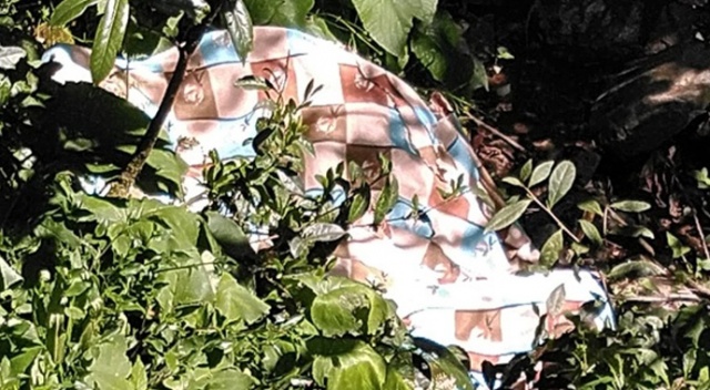 Arazi anlaşmazlığı nedeniyle 3 akrabasını öldüren şahıs ölü olarak bulundu
