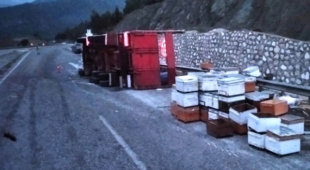 Arı kovanı yüklü kamyon kaza yaptı, kaza yerine kimse yaklaşamadı