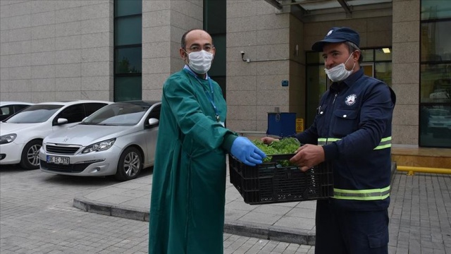 Gaziantep&#039;te evler &#039;reyhan çiçeği&#039; kokacak