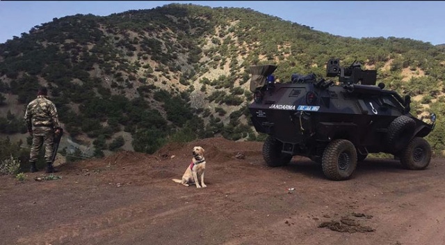 İçişleri Bakanlığı açıkladı: 3 terörist etkisiz hale getirildi