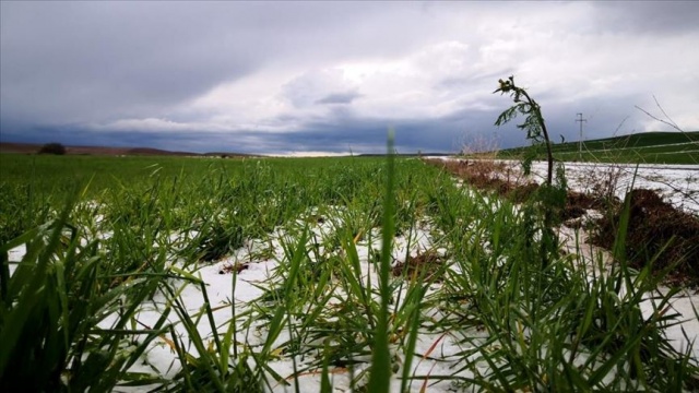 Kırşehir'de sağanak ve dolu tarım alanlarına zarar verdi