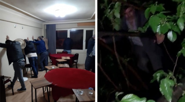 Kumar oynarken basıldı, karanlıkta saklanmak için ağaca çıktı Kumar oynarken basıldı, karanlıkta saklanmak için ağaca çıktı