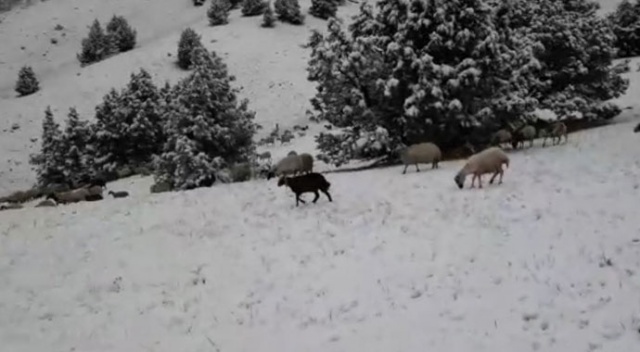 Mayıs ayının sonunda kar sürprizi