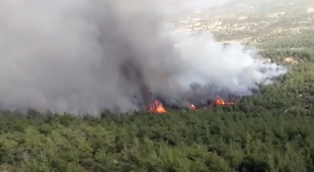 Muğla’daki orman yangını havadan ve karadan müdahaleye rağmen büyüyor