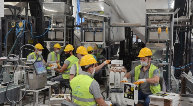 Ordu'da çıkarılıyor, 37 ülkeye ihraç ediliyor!