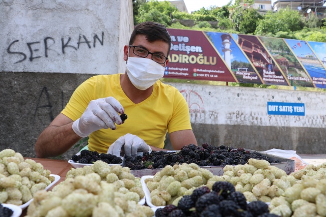 Şifa deposu ‘dut’ tezgahlarda yerini aldı