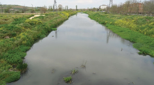 Türkiye gündemine oturmuştu: O dereyle ilgili flaş başvuru