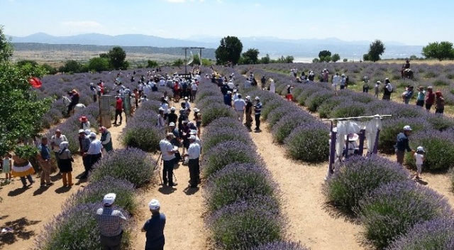 Açık hava fotoğraf stüdyosu lavanta bahçelerinde ‘Mor Turizm’ başladı Açık hava fotoğraf stüdyosu lavanta bahçelerinde ‘Mor Turizm’ başladı