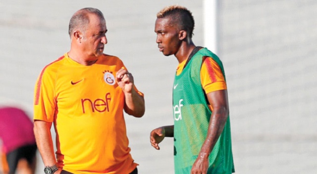 Aslan gönüllü Aslan gönüllü