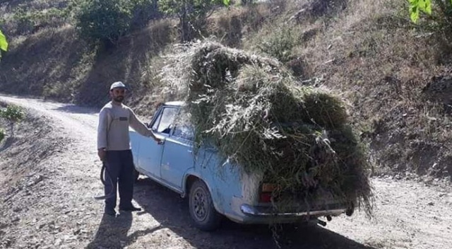 Bir zamanlar makam arabası idi, şimdi köylülerin eli ayağı oldu