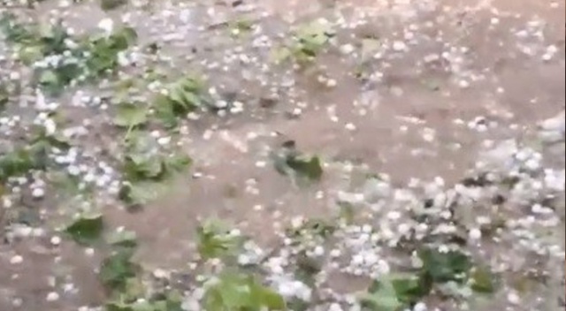 Bursa&#039;da ceviz büyüklüğündeki dolu kiraz ve çileğe büyük zarar verdi