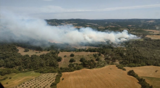 Çanakkale’de orman yangını Çanakkale’de orman yangını