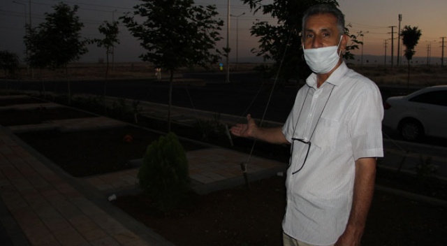 Diyarbakır'da bir garip hırsızlık, yıllarca gözü gibi baktığı ağaçları çalındı Diyarbakır'da bir garip hırsızlık, yıllarca gözü gibi baktığı ağaçları çalındı