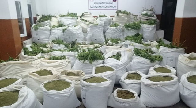 Diyarbakır'da 7 milyon 571 bin kök Hint keneviri ile 1 ton 600 kilogram esrar ele geçirildi