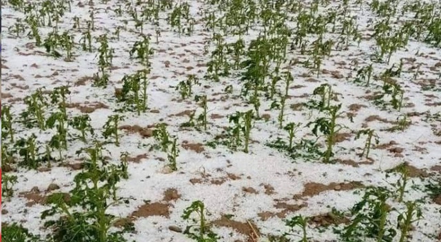Dolu yağışı sonrası köy beyaza büründü