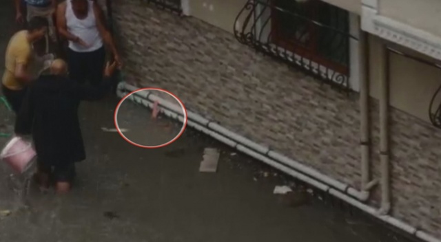 Esenyurt&#039;ta can pazarı